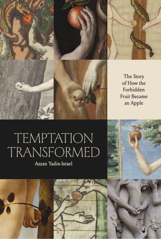 Temptation Transformed Book Cover